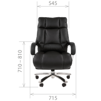 Компьютерное кресло Chairman 405 для руководителя, кожа, черный
